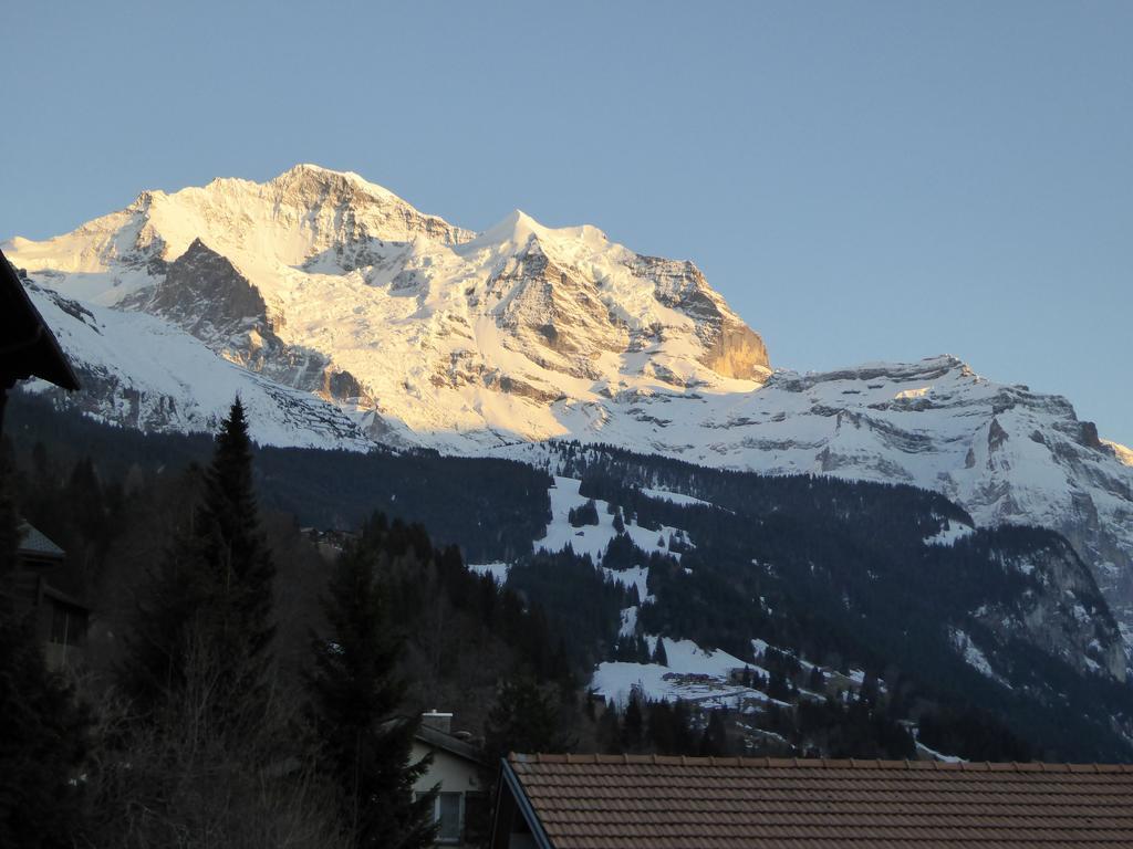 Chalet Gerbera Wengen Rom bilde