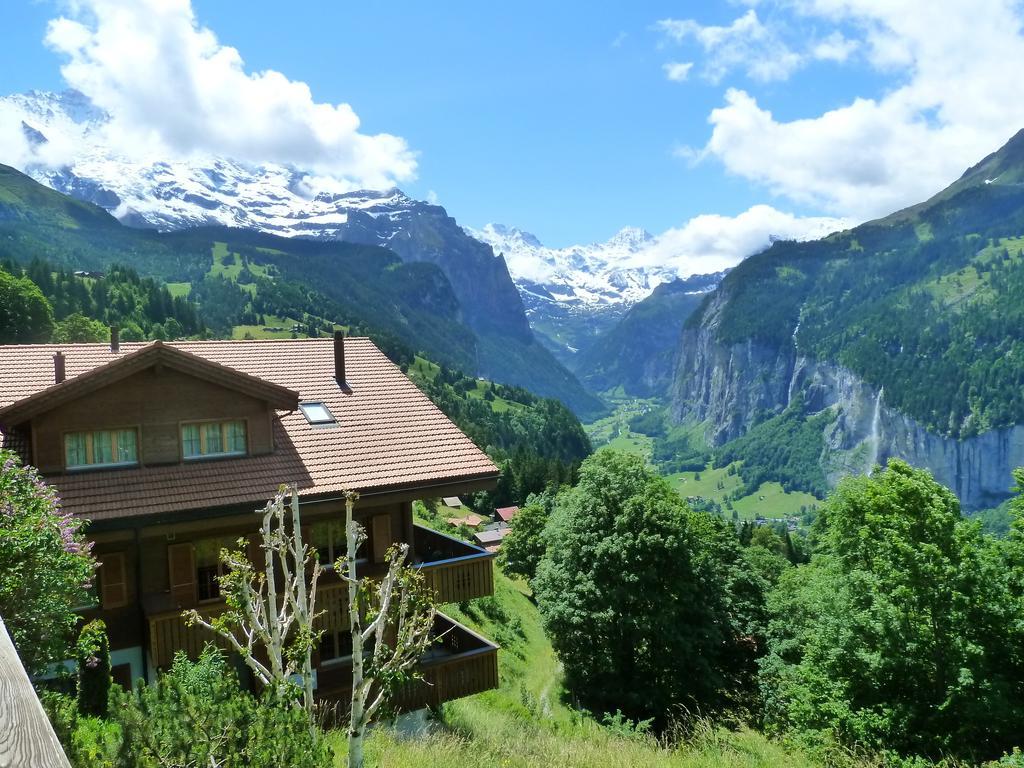 Chalet Gerbera Wengen Eksteriør bilde
