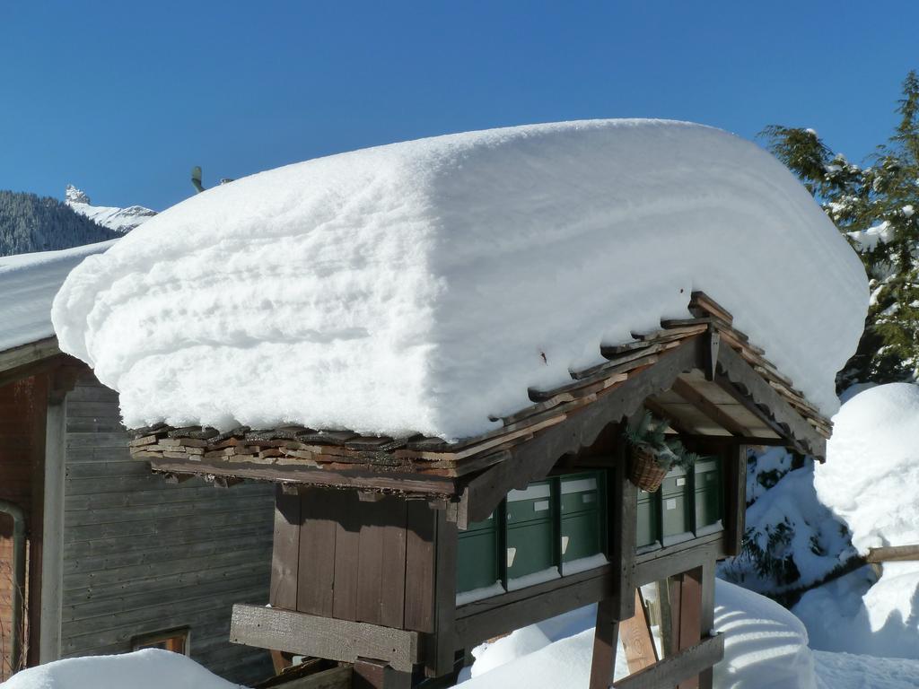 Chalet Gerbera Wengen Eksteriør bilde